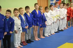 Первенство по «СУМО" 2017 г.р.