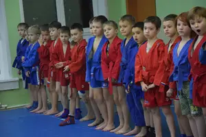 Первенство по «СУМО" 2017 г.р.