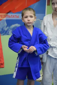 Первенство по «СУМО" 2017 г.р.