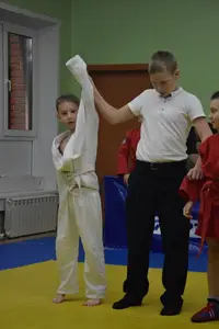 Первенство по «СУМО" 2017 г.р.