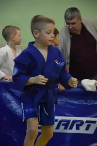 Первенство по «СУМО" 2017 г.р.