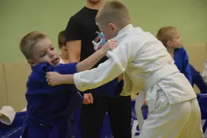 Первенство по «СУМО" 2017 г.р.