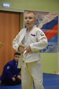 Первенство по «СУМО" 2017 г.р.