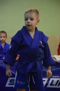 Первенство по «СУМО" 2017 г.р.