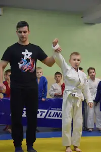 Первенство по «СУМО" 2017 г.р.