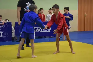 Первенство по «СУМО" 2017 г.р.