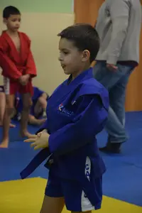 Первенство по «СУМО" 2017 г.р.