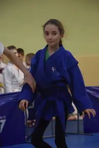 Первенство по «СУМО" 2017 г.р.