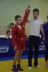 Первенство по «СУМО" 2017 г.р.