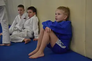 Первенство по «СУМО" 2017 г.р.