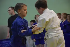 Первенство по «СУМО" 2017 г.р.