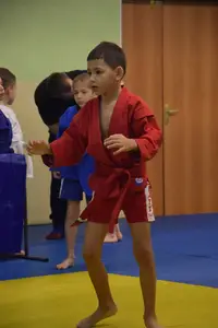 Первенство по «СУМО" 2017 г.р.