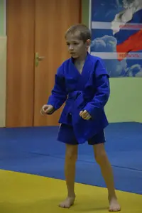 Первенство по «СУМО" 2017 г.р.