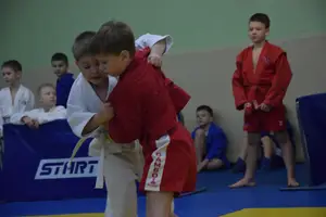 Первенство по «СУМО" 2017 г.р.