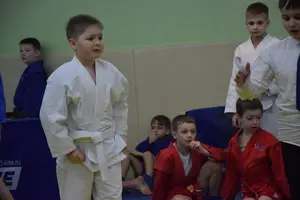 Первенство по «СУМО" 2017 г.р.