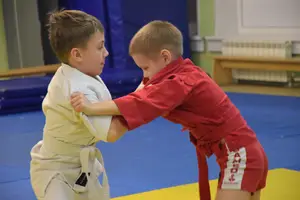 Первенство по «СУМО" 2017 г.р.