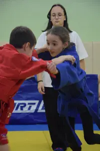 Первенство по «СУМО" 2017 г.р.