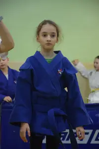 Первенство по «СУМО" 2017 г.р.