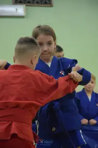 Первенство по «СУМО" 2017 г.р.