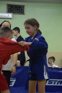 Первенство по «СУМО" 2017 г.р.