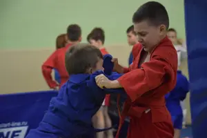 Первенство по «СУМО" 2017 г.р.