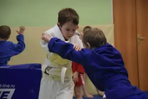 Первенство по «СУМО" 2017 г.р.