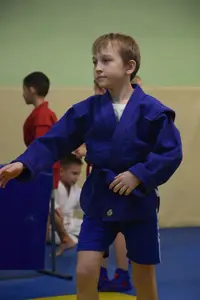 Первенство по «СУМО" 2017 г.р.