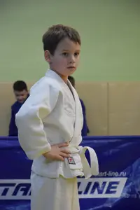 Первенство по «СУМО" 2017 г.р.