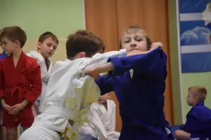 Первенство по «СУМО" 2017 г.р.