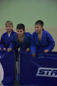 Первенство по «СУМО" 2017 г.р.