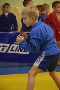 Первенство по «СУМО" 2017 г.р.