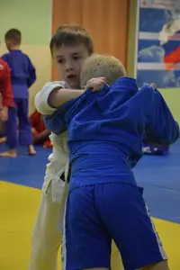 Первенство по «СУМО" 2017 г.р.