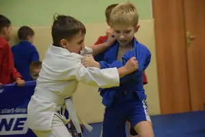 Первенство по «СУМО" 2017 г.р.