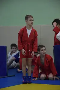 Первенство по «СУМО" 2017 г.р.