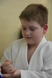 Первенство по «СУМО" 2017 г.р.