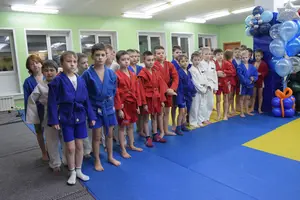 Первенство по «СУМО" 2017 г.р.