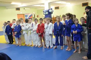 Первенство по «СУМО" 2017 г.р.