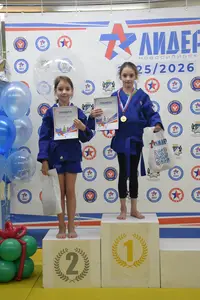 Первенство по «СУМО" 2017 г.р.