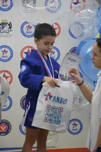 Первенство по «СУМО" 2017 г.р.