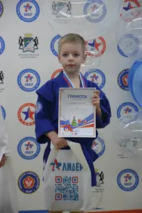 Первенство по «СУМО" 2017 г.р.