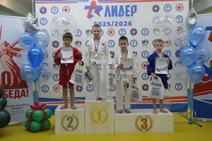 Первенство по «СУМО" 2017 г.р.