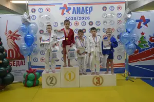 Первенство по «СУМО" 2017 г.р.