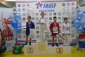 Первенство по «СУМО" 2017 г.р.