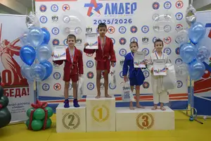 Первенство по «СУМО" 2017 г.р.