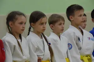 Первенство посвященное Дню Победы  по упрощенным правилам борьбы Дзюдо и Самбо 2016 г.р.