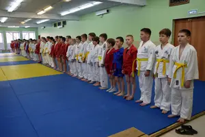 Первенство посвященное Дню Победы  по упрощенным правилам борьбы Дзюдо и Самбо 2016 г.р.