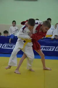 Первенство посвященное Дню Победы  по упрощенным правилам борьбы Дзюдо и Самбо 2016 г.р.