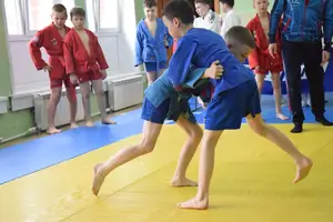 Первенство посвященное Дню Победы  по упрощенным правилам борьбы Дзюдо и Самбо 2016 г.р.
