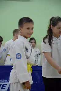 Первенство посвященное Дню Победы  по упрощенным правилам борьбы Дзюдо и Самбо 2016 г.р.