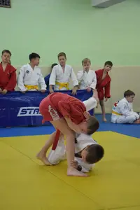 Первенство посвященное Дню Победы  по упрощенным правилам борьбы Дзюдо и Самбо 2016 г.р.